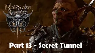 Baldur's Gate 3 Storm Priest Walkthrough Part 13 No Comenarty