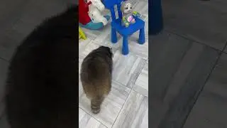 Страшно... но интересно :-)