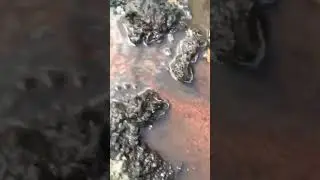 Промывка автополива 