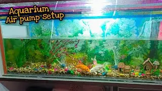Aquarium Air Pump setup || Aquarium me air pump keise lagaye