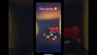 My friends and I played the mimic.. 💀 