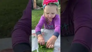 Заворачиваю огурчики с хреном #ЯжеВика
