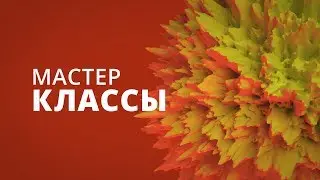Анализируем рынок и торгуем на FOREX