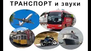 Изучаем транспорт. Транспорт и машины для детей. Звуки транспорта.