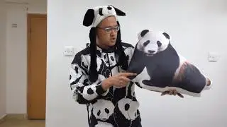 Bei Bei Throw Pillow and Tai Shan Tote Bag