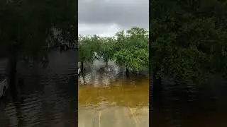 Hurricane Debby. #hurricanedebby
