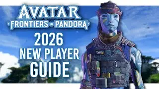 Ultimate Beginner's Guide (Things I Wish I Knew Sooner...)