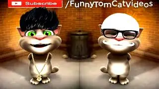 Most Funny video of talking toms