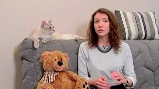 Тайский кот