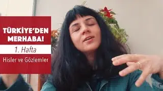 TÜRKİYE'DEN MERHABA | BAŞIMA GELENLER | AVUSTRALYA'DA YAŞAM