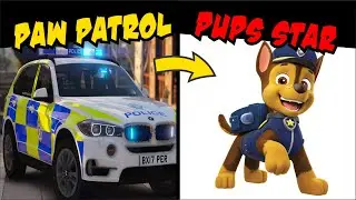 Cute Paw Patrols Vehicles In Real Life🐾💝