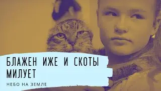 Блажен иже и скоты милует. Небо на Земле
