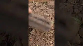 Печное искусство #коп #металлокоп #металлолом #приборныйпоиск  #хобби
