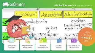 Sehschwäche Erklärung – inkl. Korrekturmöglichkeiten