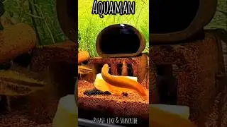🔥Fire Eel Fish Breeding Pair🔥#shorts