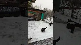 эх снег снежок