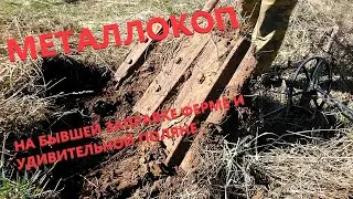 МЕТАЛЛОКОП НА ФЕРМЕ и УДИВИТЕЛЬНАЯ ПОЛЯНА
