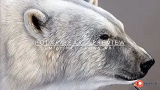 Polar bear tutorial preview #beginnerartists #pastelpencils #patreon #softpastels