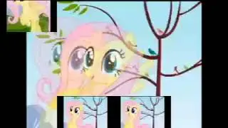 Fluttershy Sparta Remix V2