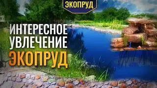 Interesting hobby Ecopond