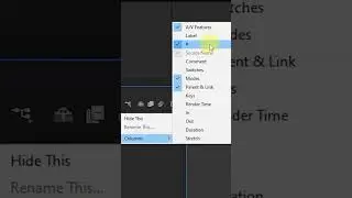 Turning ON/OFF Toggle Switch Modes After Effects 
