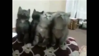When your whole crew is on point-Best Vine