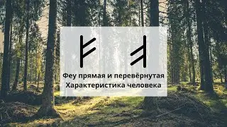 The Fehu Rune. Human Characteristics. New Facets of Runes