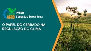 A Força do Agro - O papel do Cerrado na regulação do clima