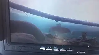 ТАКОЕ ВОЗМОЖНО! Рыбалка на камеру