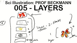 Scientific Illustration 005: Layers in Photoshop