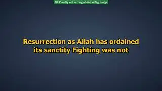 28. Penalty of Hunting while on Pilgrimage