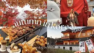 STUDY ABROAD in KOREA 🍂 autumn, nami island, eunpyeong village, apgujeong [ep 8]