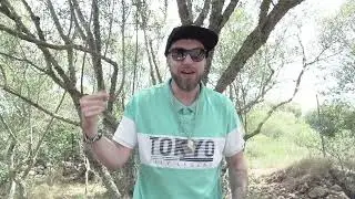 Rafel Swing - Mel d’abella (feat. Andrew “B Flat” Vega) (Oficial Video)