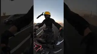 Incredible 😱 Moment Caught on Camera! #interestingfacts #funny #viralvideo