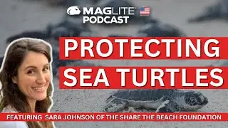 Sara Johnson of the Share The Beach Foundation Discusses Marine Wildlife Preservation.
