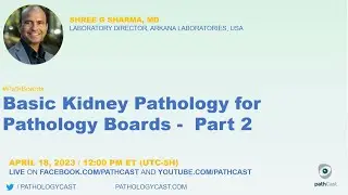 #PATHBOARDS