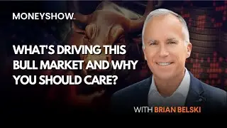 What's Driving this Bull Market and Why You Should Care?