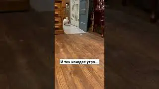 Как не опоздать на работу  