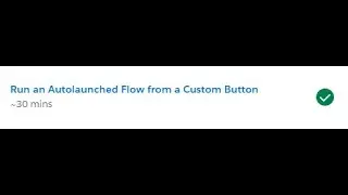Run an Autolaunched Flow from a Custom Button Trailhead Solution 