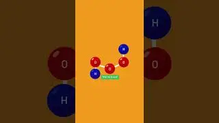 What Differs Molecules from Compounds? 