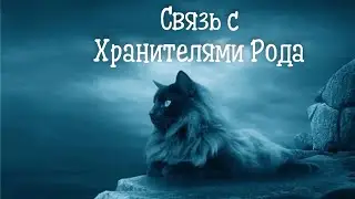 ☘️Связь с Хранителями Рода☘️ совет от Хранителей Рода 🐈‍⬛ 