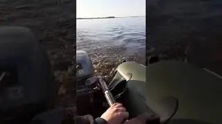 31 мая 2021 г.