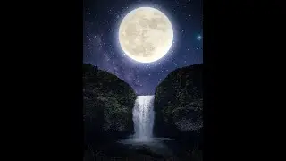 10 Hours of Composure Rain, Thunder, Birds sounds for Ultimate Stress Relief, Deep Sleep, Meditation