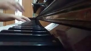Олег Богдашин -  "Цветок лотоса", "Китайская кукла"