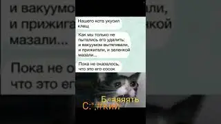 Мем №96 #мем #мемы #ржака #смехдослез #прикол #приколы #лучшее #рекомендации #short #лучшеесттром