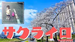 サクライロ - HAMMER -【OFFICIAL MUSIC VIDEO】