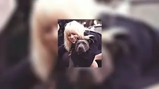 Promiscuous Nelly Furtado (Sped up) Tiktok Song