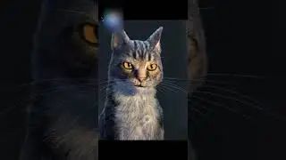 Роботы нарвались на котов😱 