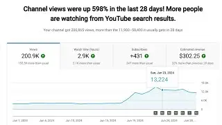 $300 A Month Case Study | Search Based Channel