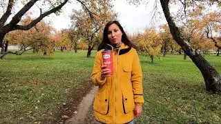 Герасима Курина, улица